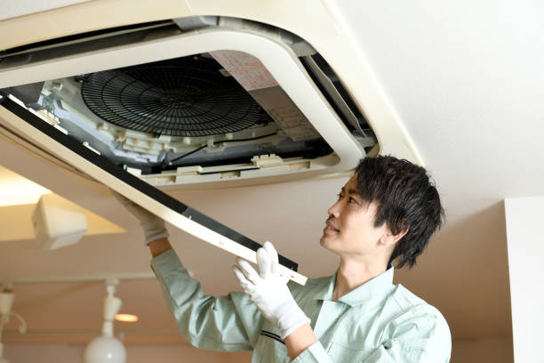 Best Air Duct Mold Removal  in Alamosa East, CO